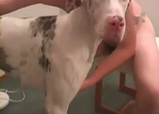 British dog and zoophile