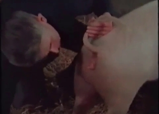 Filthy pig and a brunette girl