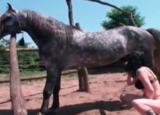 Kinky bitch blows a farm animal