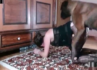 Bestiality close up scene